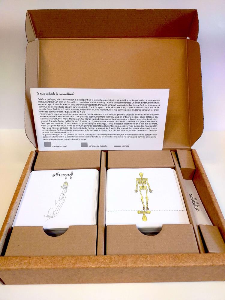 Lectii de anatomie: Sistemul osos. Sistemul nervos